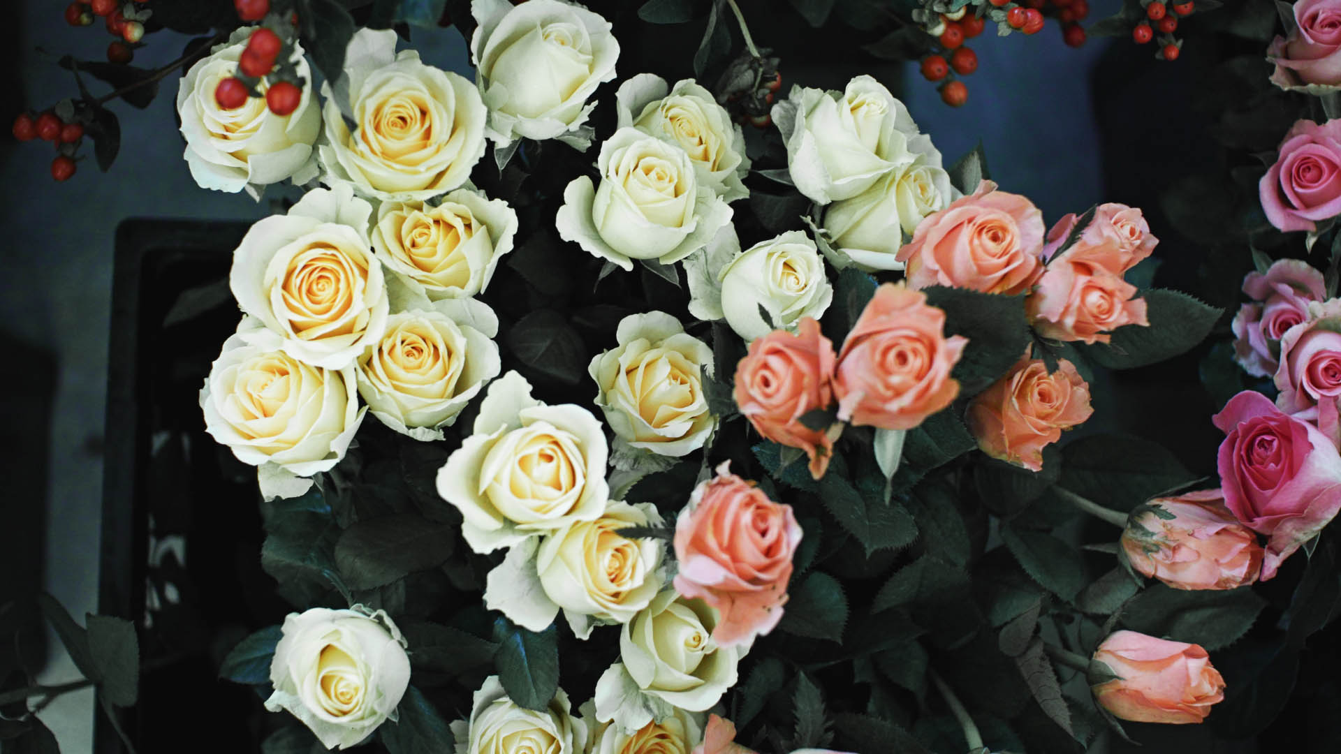 Main Banner Image 1