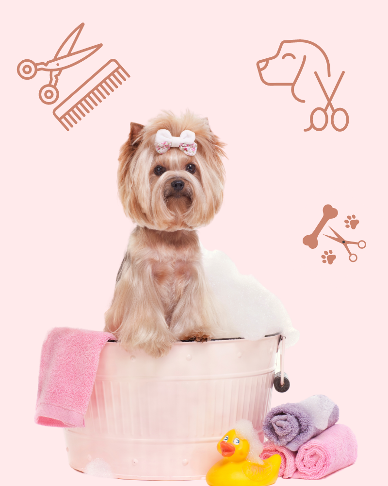 Woofy Your Pawfect Destination Order Online