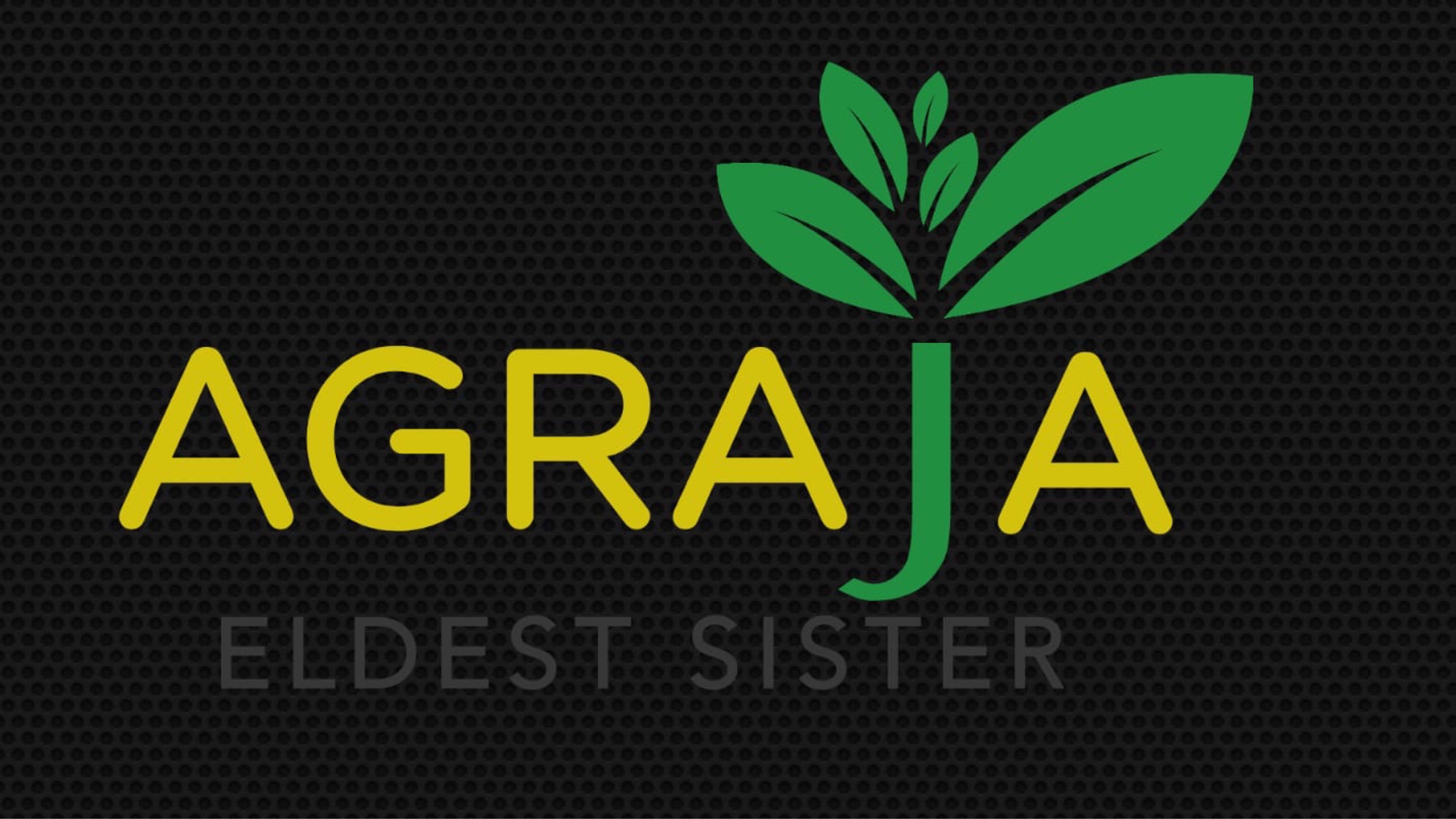 Main Banner Image 1