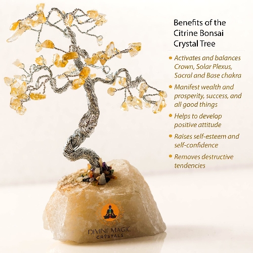 Buy Citrine tree online at best price Samruddhi Stones