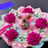 www.shringaarcollectionjammu.co.in favicon