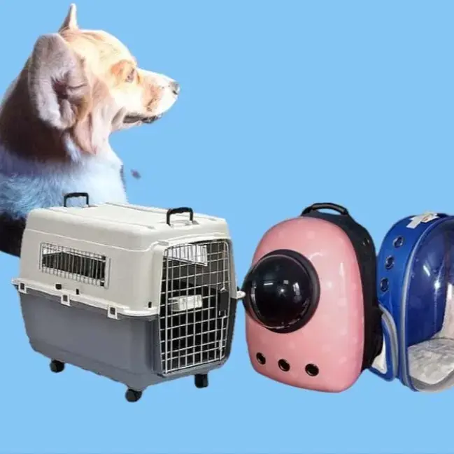 Pet Carrier Cargo Dog Crate Buy Puppy Cat Travel Cage Online At