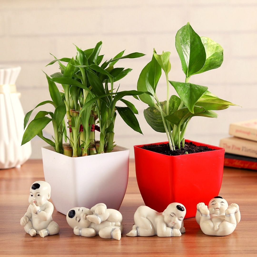 Miscellaneous / More Items