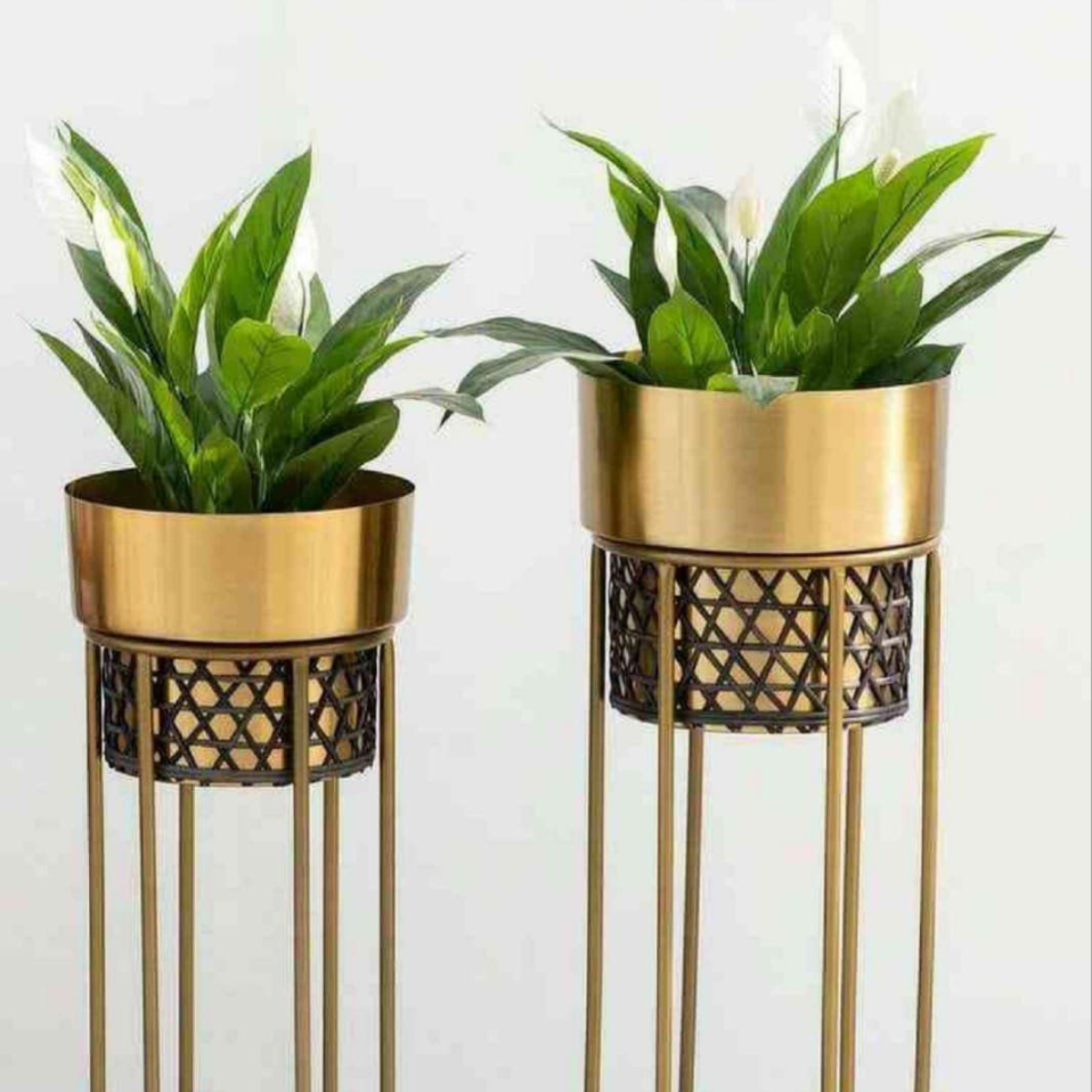 The Dekor Art Order Online