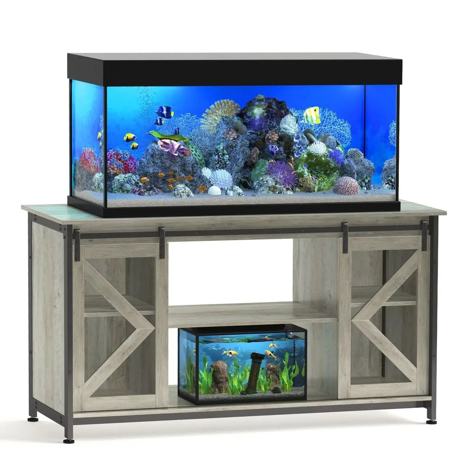 India Fish Tank Equipment Online All Types Of Aquarium And Pet Supplies PetzLifeWorld India Fish Tank Equipment Online All Types Of Aquarium And Pet Supplies PetzLifeWorld