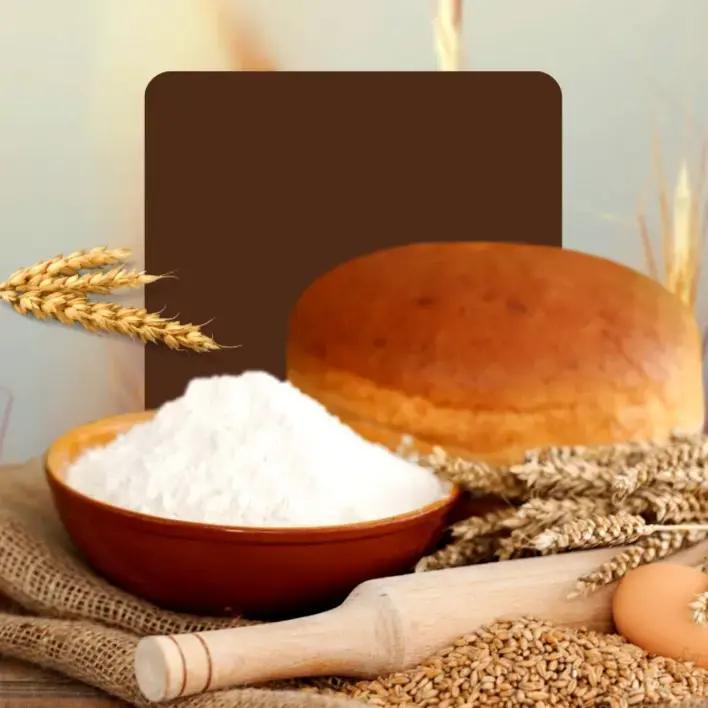 Wheat & Soya
