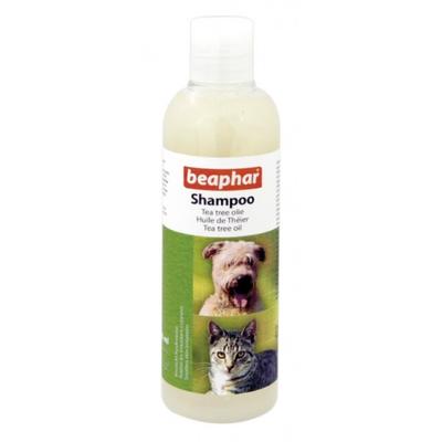 beaphar patina shampoo