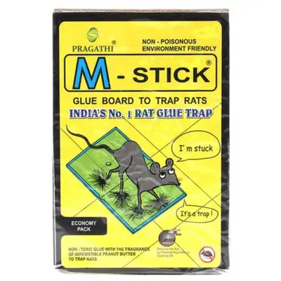 Buy M-Stick Glue Board To Trap Rats 1Pc online at best price | Sujatha ...
