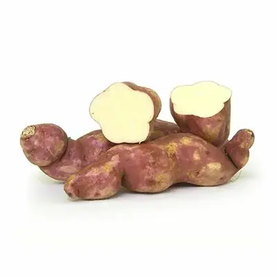 Buy Vegetables online at best price | Kisaan Mandi