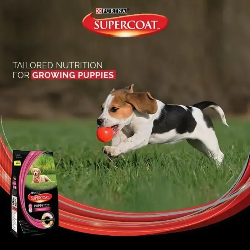 Buy Purina Supercoat Puppy 3kg online at best price Pet Mart