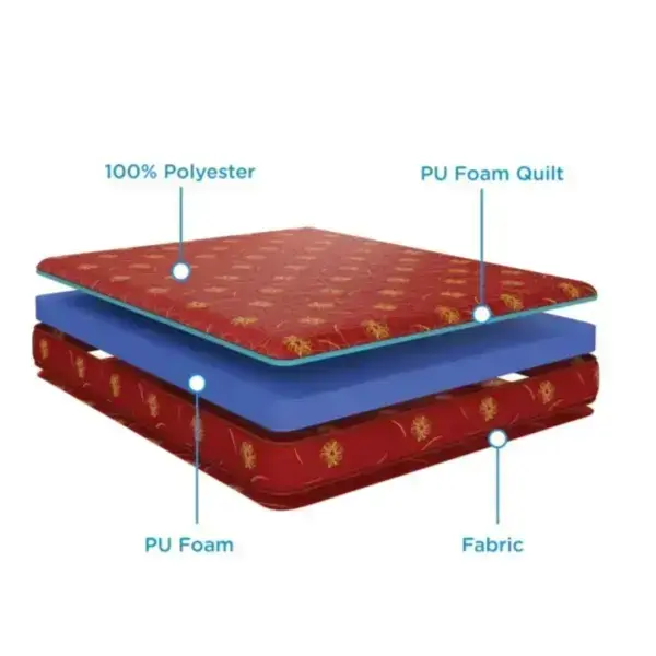 Buy Nilkamal Sleep Doctor Dream Pure Foam Inch Mattress online