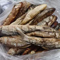 Buy Dry Fish Nagaland 40gm online at best price | The Northeast Shop
