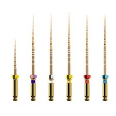Protaper Gold ( Pack of 6 pcs) online at best price
