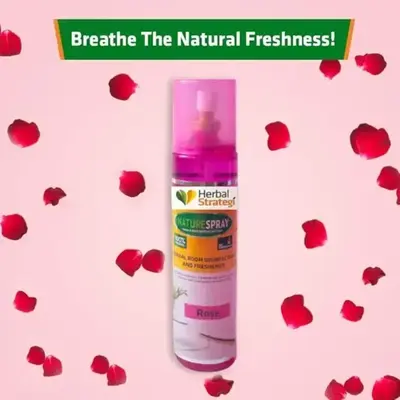 Buy Strategi Nature Spray Herbal Room Freshner Rose 250 Ml online