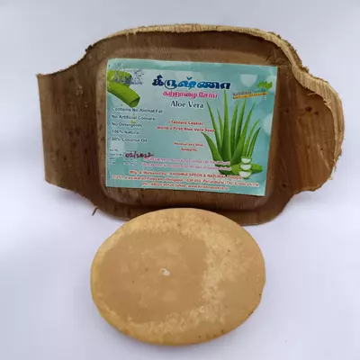 florena aloe vera Aloe vera | Lexington, KY main image 1