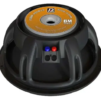 200 Watt P Audio Speaker 12 Inch 400 Watt Paudio 15BM 400B V3 Speaker
