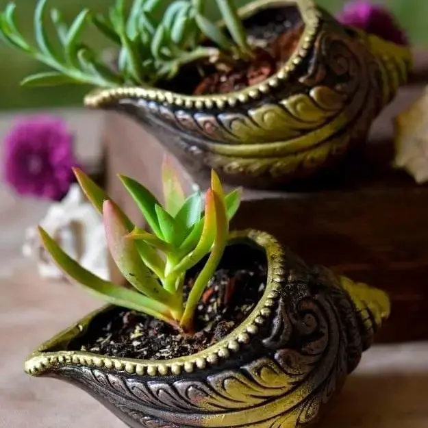 The Handicraftian Sankh Planter Set of 3 image 1
