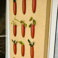 THE HANDICRAFTIAN CARROT WALL HANGING PLANTER SET OF 5 thumbnail 3