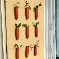 THE HANDICRAFTIAN CARROT WALL HANGING PLANTER SET OF 5 thumbnail 2