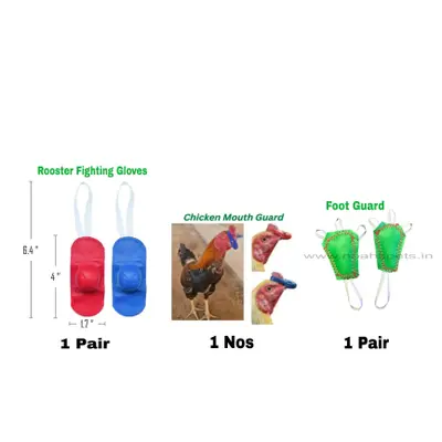 Buy Fighting Rooster Combo 1 online at best price | Noah’s Pets
