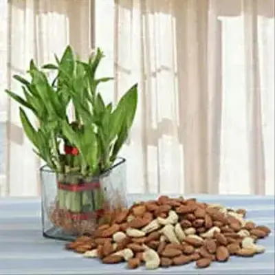 Bamboo and Dry Fruits Combo