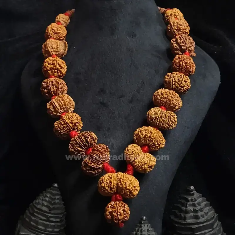 Maha Mrityunjay Rudraksha Mala 1–17 Mukhi – Nepali