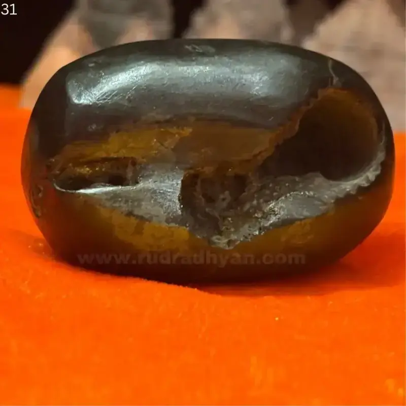 Radha Krishna Shaligram Shilla