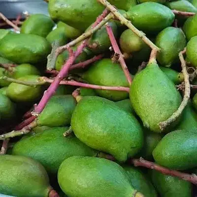 Buy Vadu Mango(Neetu) 500 G Pre Order online at best price