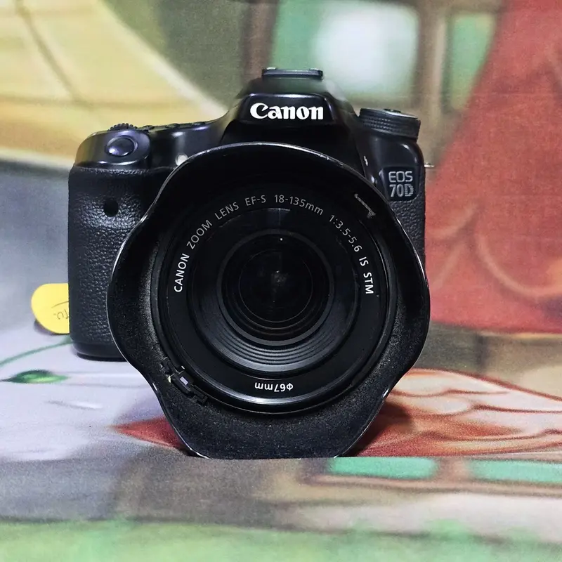 Canon EOS 70D + 18-135mm EF-S + More