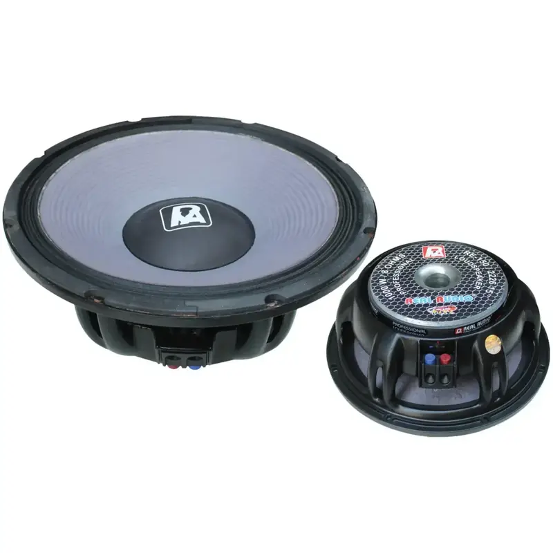15 Inch P Audio 1000w Speaker Price Real Audio RE-150/2226