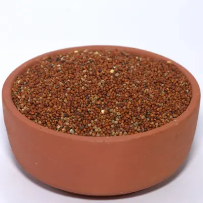 Finger Millet (Ragi / Nachni) | Traditional Millet Grain