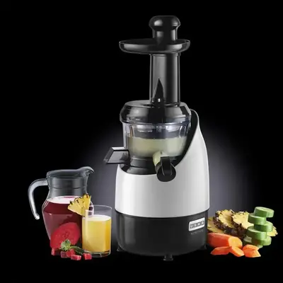 Buy NUTRI PRESS COLD PRESS JUICER CPJ 382S online at best price