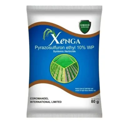 0nbXOZNi-400-400.webp