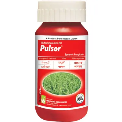 Pulsor - Controls Rice Sheath Blight