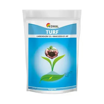 Turf Fungicide – Protection for Lawns and Turf Areas