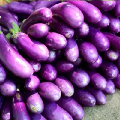 Buy Brinjal Big online at best price | Digital Bas...