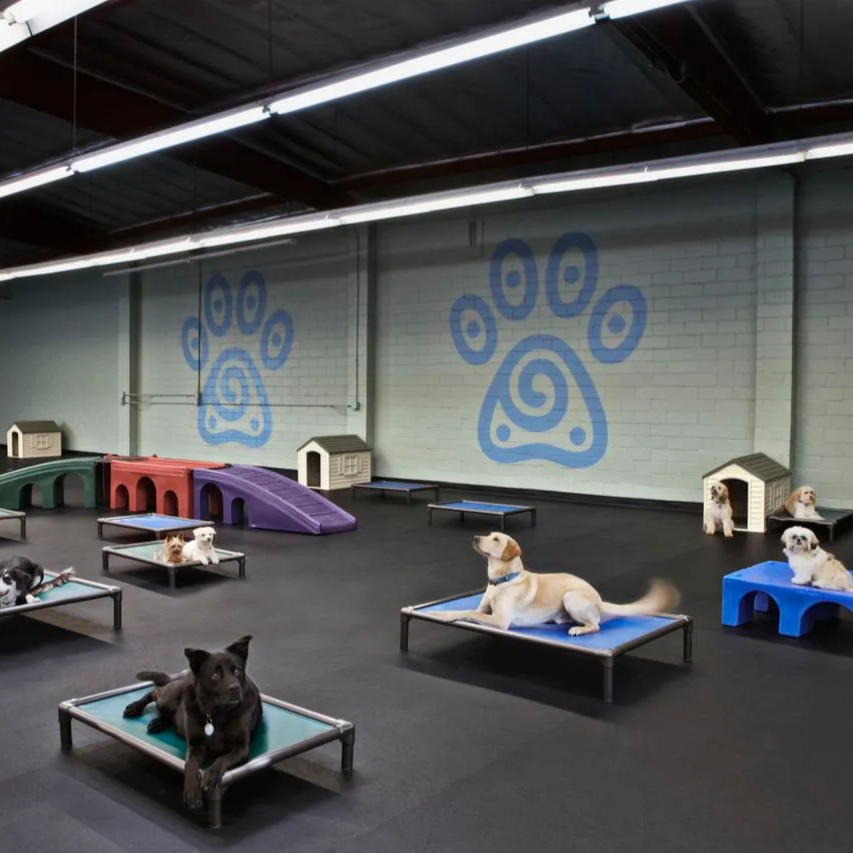 Blue Barn Blue Dog Boarding And Daycare Safe Trusted Pet Boarding