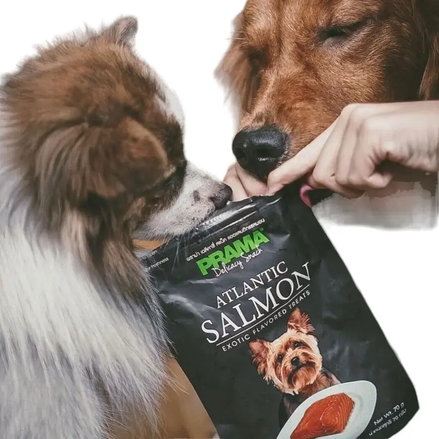 Prama Atlantic Salmon Treats 70g