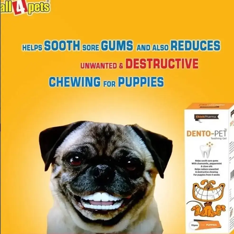 Buy Dento Pet Teething Gel online at best price Pet Mart