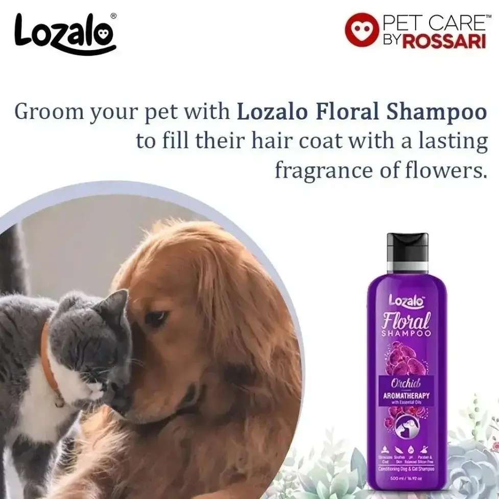 Buy Lozalo Floral Shampoo Orchid 500ml online at best price