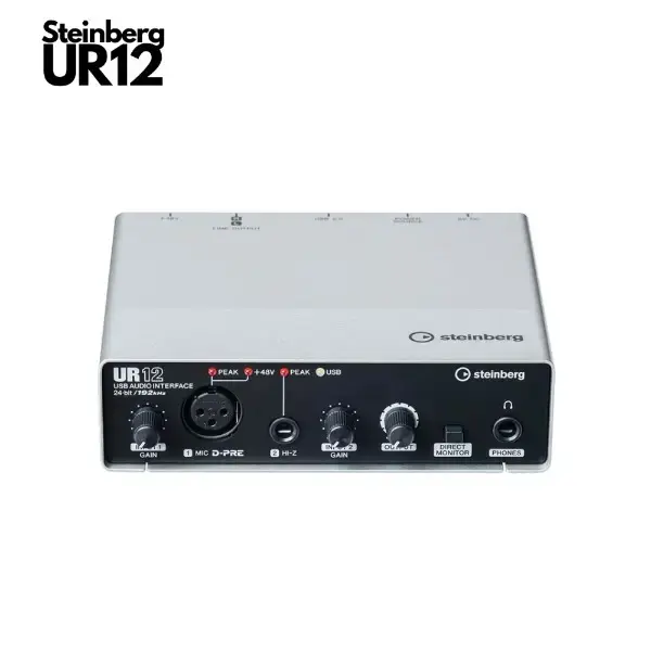 Buy Steinberg UR12 Audio Interface online at best price | RDX