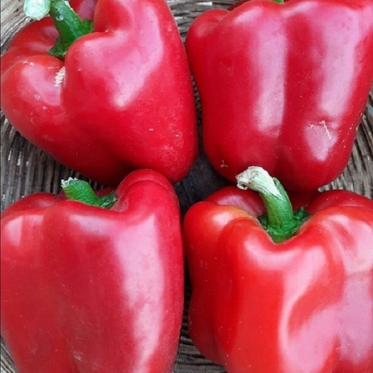 Simla Chilli Red Buy Red Simla Mirchi (Order By Piece) - 250gm online at best price ...