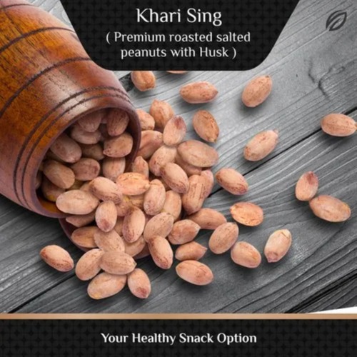 Roasted Salted Peanuts / Gujarati Khari Seeng 500 gm - 1