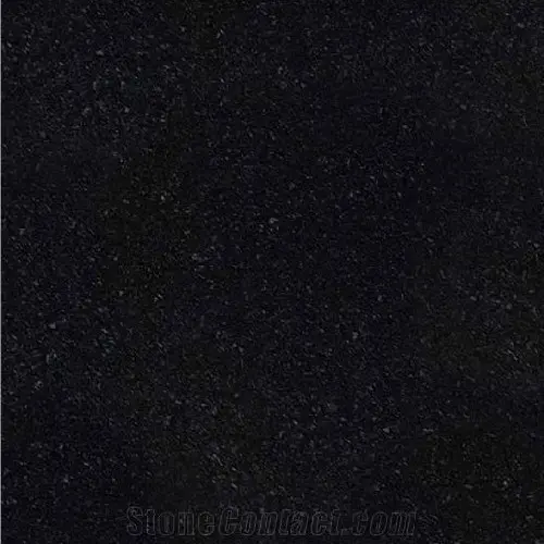 Buy Z- black online at best price | Metro Tiles