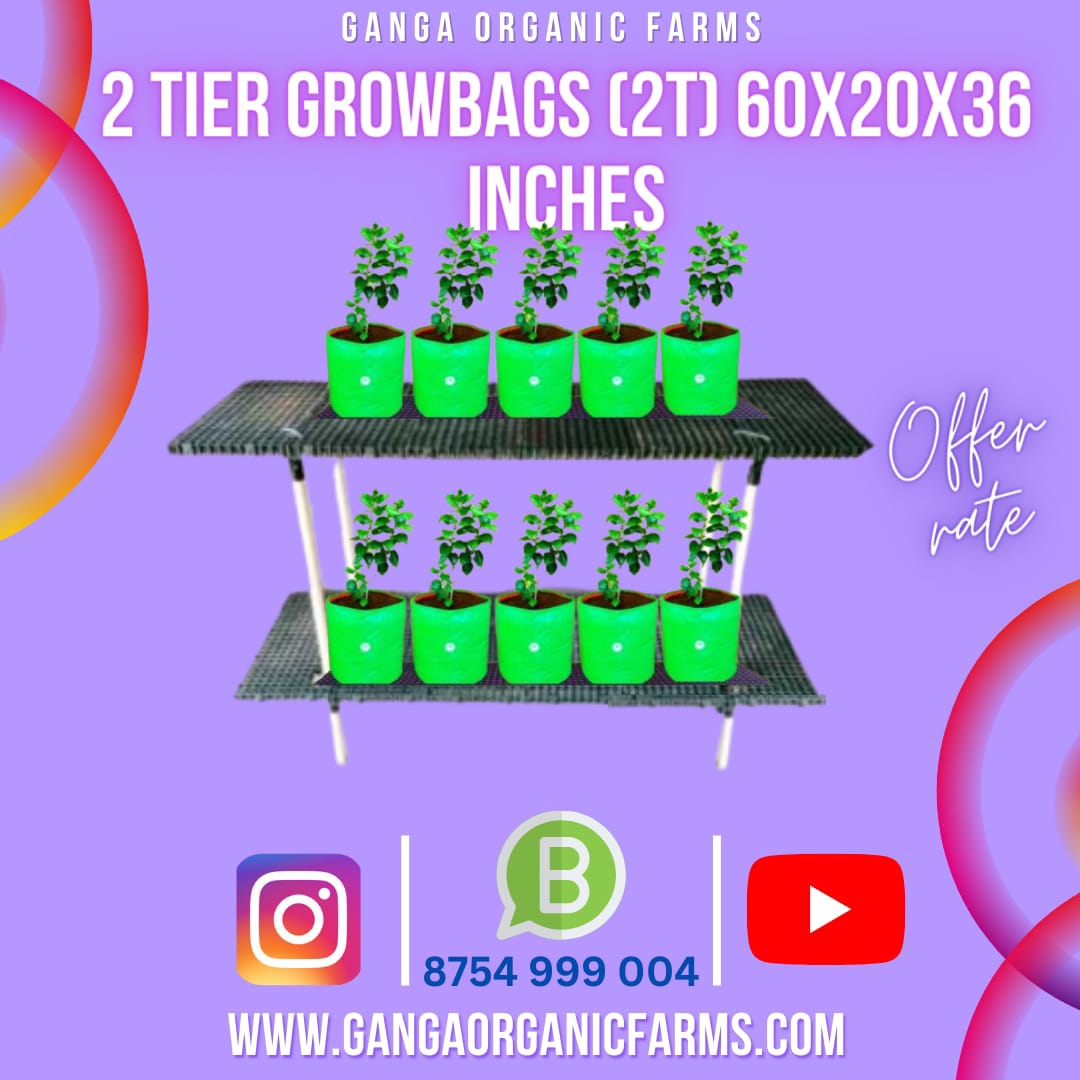 Buy ABS PIPE STAND DOUBLE DECKER 20 GROW BAG STAND online at best