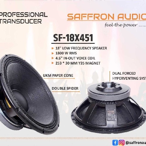 Saffron Audio 1800watt Bass Speaker - 1