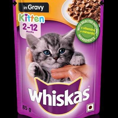 Buy Whiskas Kitten Gravy Chicken 50 online at best price Sonia