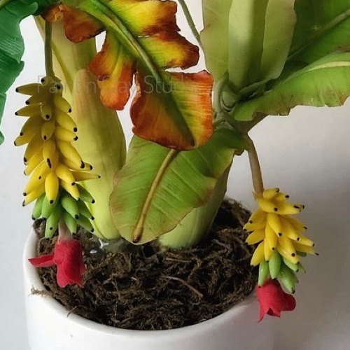 Buy Banana Mini Bonsai Tutorial online at best price | Paint 'n' Clay Studio