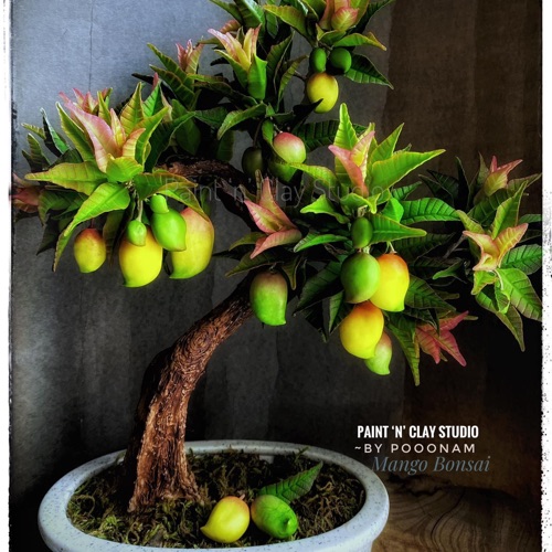 Buy Mango Bonsai Tutorials online at best price | Paint 'n' Clay Studio