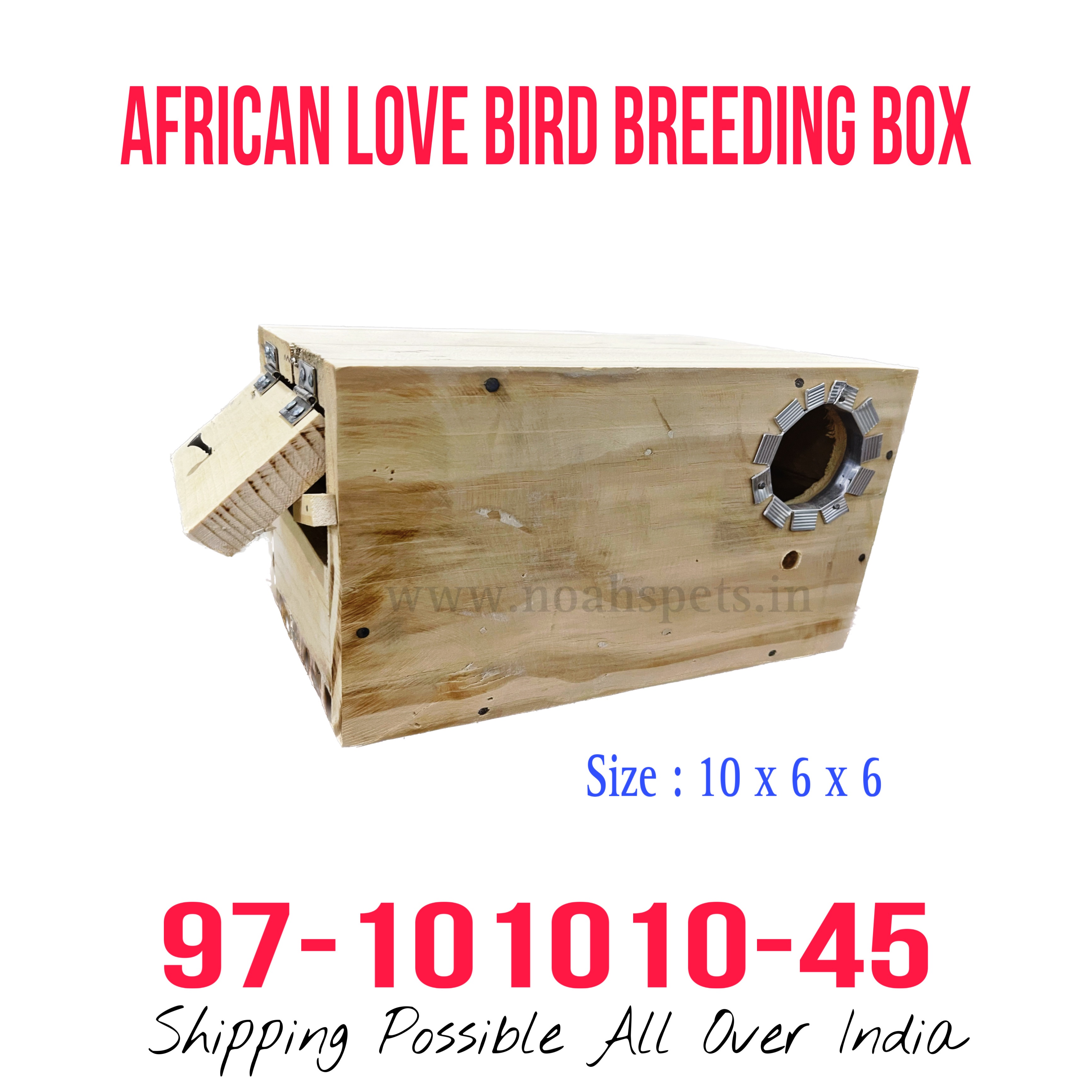 Buy African Love Bird And Show Budgie Breeding Box online at best